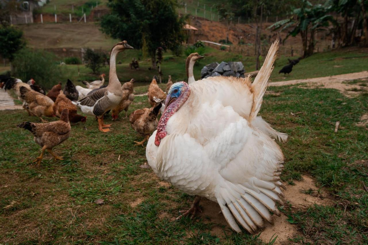 Hotel Fazenda Monteiro Conservatoria Ngoại thất bức ảnh